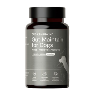 dog gut maintenance plus supplement capsules