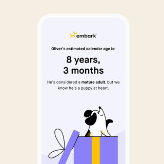 estimated calendar age result from dog age test