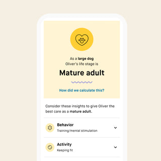 Embark Dog Age Test app screen showing Oliver's life stage as mature adult with care recommendations for behavior and activity