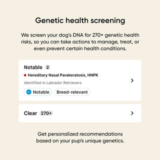 genetic health screening for 270+ genetic health risks