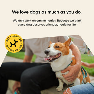 Embark for canine health with happy dog