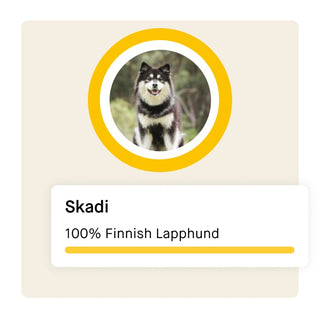 Breed ancestry results