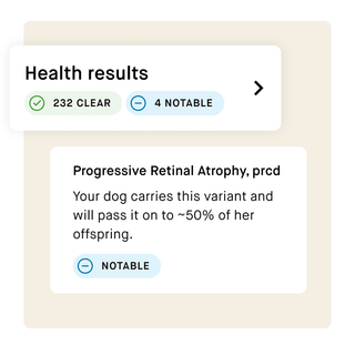 Breeder health screening