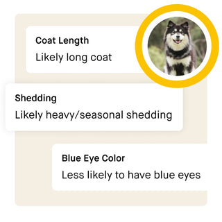 Trait insights
