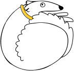 Illustration of a curled-up dog