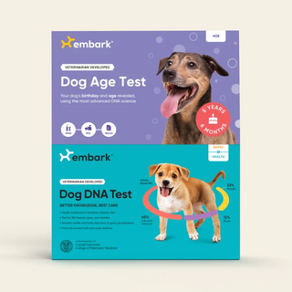 Embark dog age test and breed and health test bundle