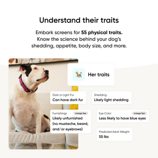 Understand your dogs traits with screening for over 55 physical traits like fur, shedding and weight