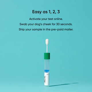 1,2,3 steps for activating, swabbing, and mailing your dna test sample