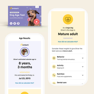 Embark Dog Age Test kit beside two mobile screens showing age results and mature adult life stage for a dog