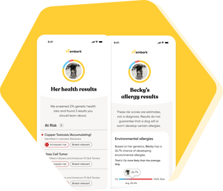 Two Embark app screens showing a dog's genetic health screening and allergy risk results from a dog DNA test.
