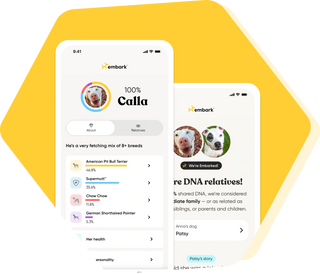 Two phone screens showing the Embark app dog DNA test results with a breed breakdown and DNA relatives match.