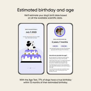 Embark Age Test feature graphic showing two app screens for a dog named Dottie. The left screen displays an estimated birthday of July 7, 2020 with a celebratory illustration. The right screen shows an estimated calendar age of 3 years and 7 months with a confidence range and an explanation of how the age was calculated. Footer text notes that 77% of dogs have a true birthday within 12 months of their estimated birthday.