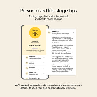 Embark dog DNA app feature graphic showing personalized life stage tips for a small dog identified as a mature adult. A mobile screen displays care categories including Behavior, Activity, Nutrition, Dental Care, and Preventative Care, with an expanded Behavior panel showing training and mental stimulation guidance.