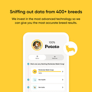 Dog breed identification app interface on a yellow background with text about technology investment.