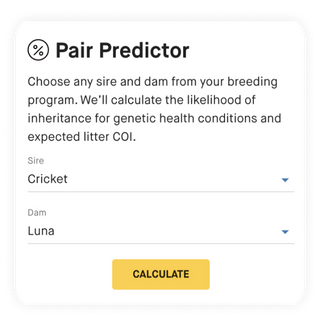 screenshot of embark for breeders exclusive tool, pair predictor