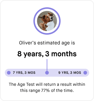 Embark Age Test result card for a dog named Oliver showing an estimated age of 8 years and 3 months, with a confidence range slider between 7 years 3 months and 9 years 3 months. A note states the Age Test returns a result within this range 77% of the time.