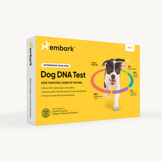 Yellow breed id dog dna test