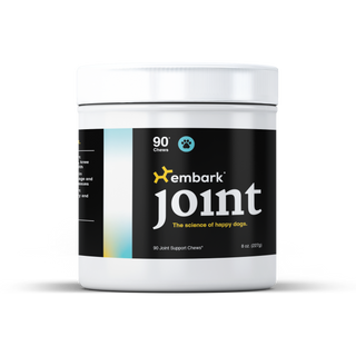 hip and joint supplement for dogs