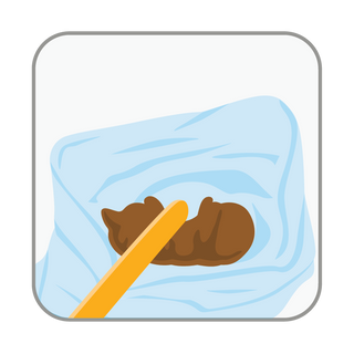 A simple illustrated graphic showing a brown poop shape resting on a light blue sheet inside a rounded white square with a gray border, with a yellow tool touching it.