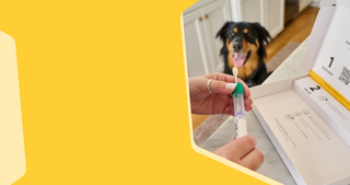 Hands hold an Embark dog DNA test cheek swab and collection tube beside an open kit, with a black and tan dog.