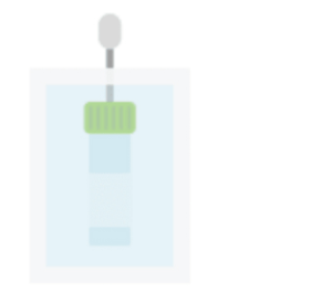 Flat illustration of a cheek swab above a green-capped collection tube for a dog DNA test
