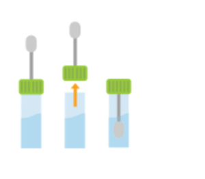 Flat illustration showing three stages of unscrewing a green cap and lowering a cheek swab into a dog DNA test tube