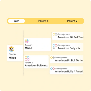 Embark app family tree screen tracing a dog's parents and grandparents from dog DNA test breed identification results.