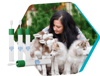 Woman kneeling outdoors with four red and white puppies beside Embark cheek swab tubes for dog DNA testing