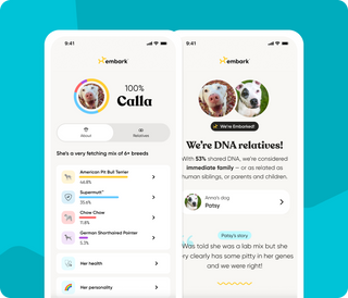 Embark app screenshots showing a dog's breed mix results screen and a DNA relatives match screen, dog DNA test interface