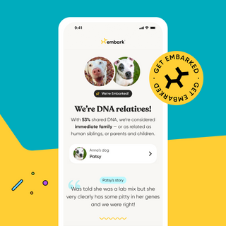 Phone screen displaying a DNA relative finding app with two dogs and a blue and yellow background.