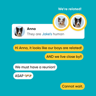 Text conversation between two users about dogs being related, with dog images and text bubbles on a teal background.