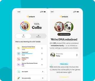 Two Embark app screens: a dog DNA test breed identification breakdown and a matched DNA relatives profile