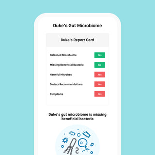 dog gut health microbiome test result