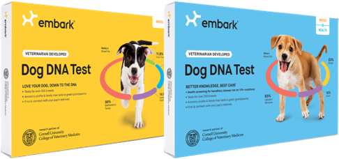 Embark dog DNA test boxes
