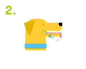 swab your dog