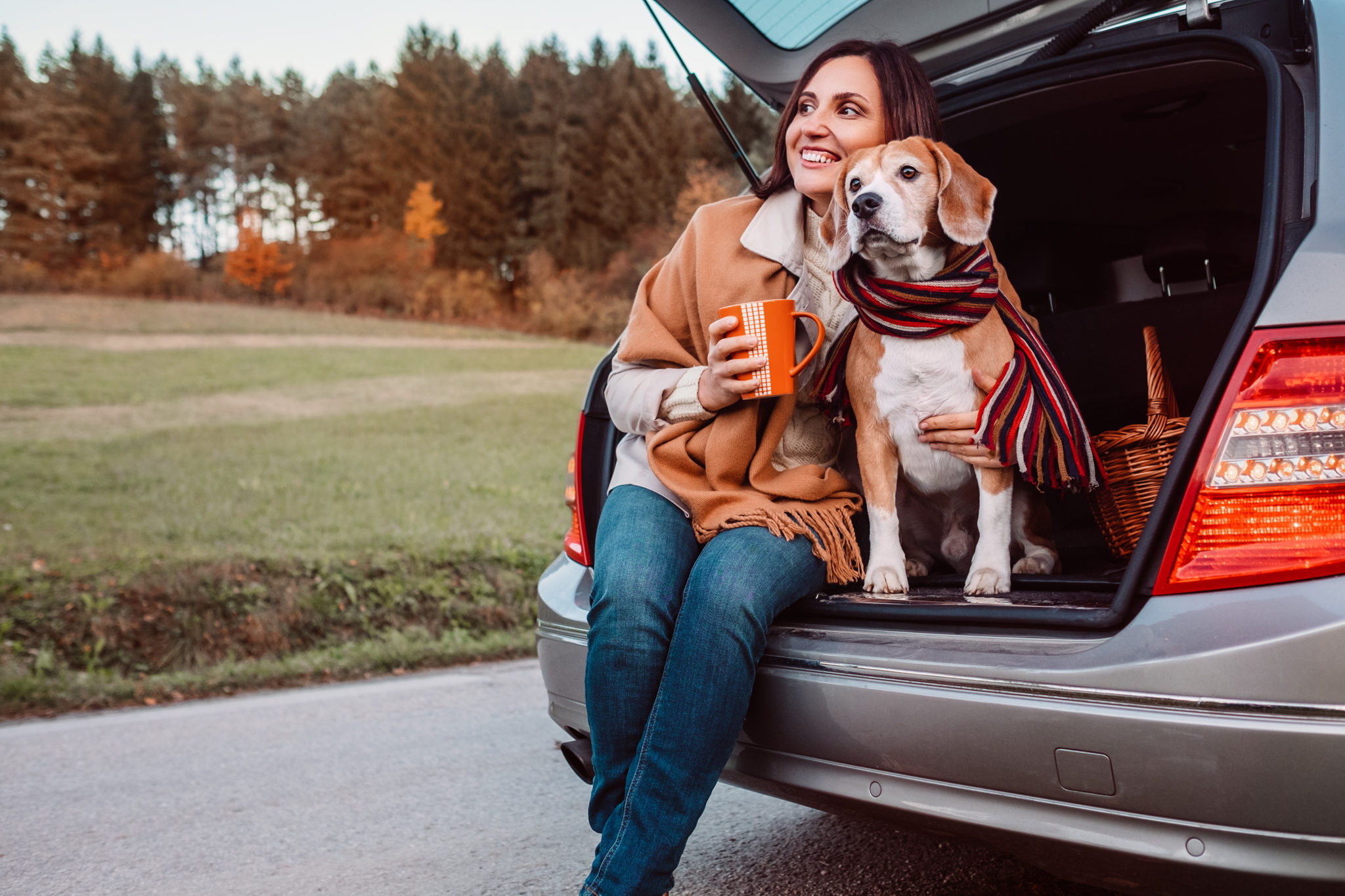 7 Tips for Car Rides with Your Dog Embark