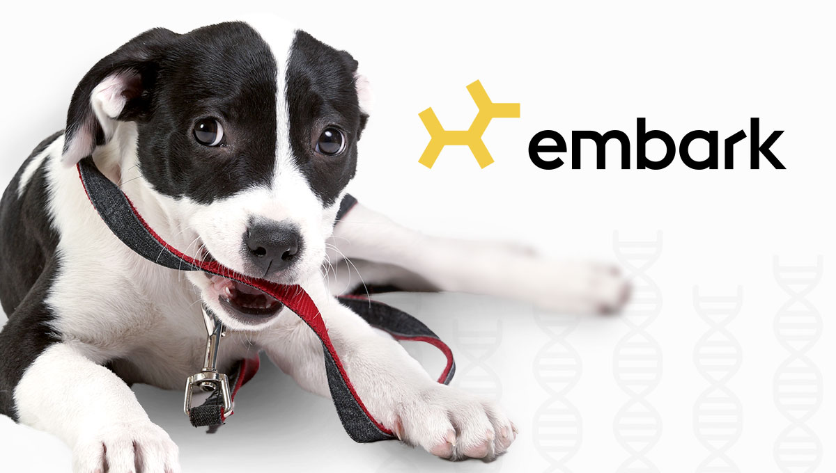 embark vet dna
