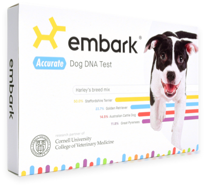 Embark dog dna test for breed id and health