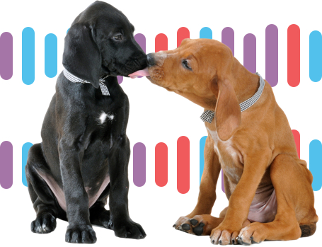embark canine relative finder