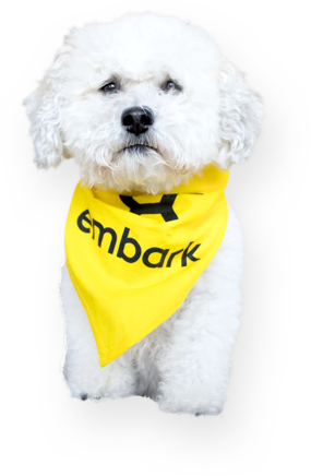 embark affiliate mascot dog