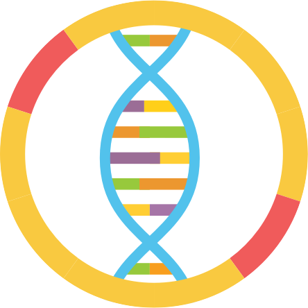 double helix