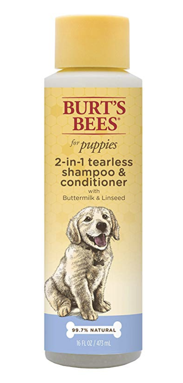 embark dog shampoo