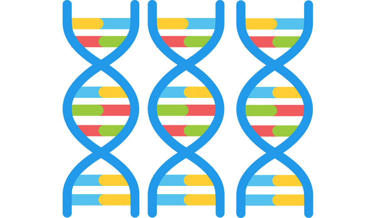 Genes close up