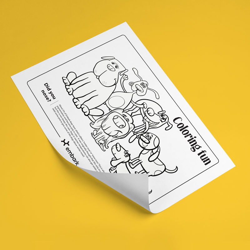 dog color activity sheet photo from embark
