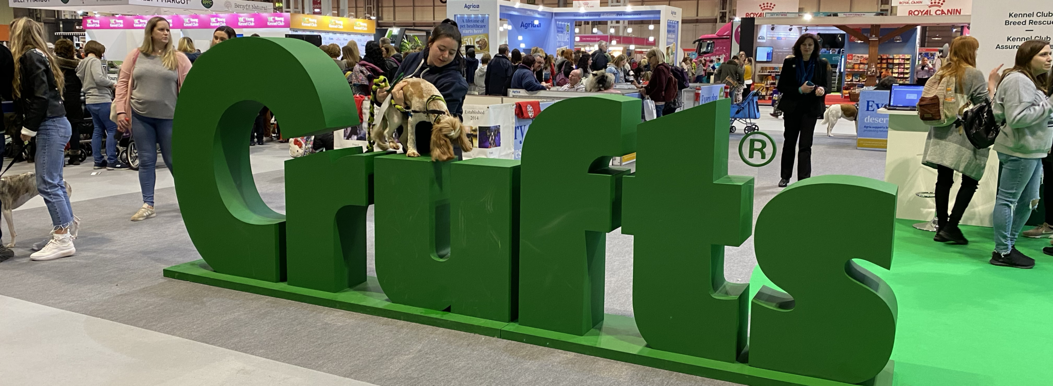 purebred-dogs-have-their-day-highlights-from-the-2020-crufts-dog-show