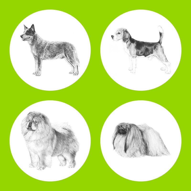 embark dog breeds