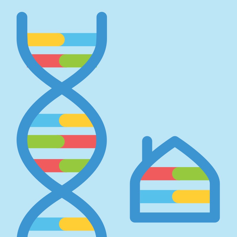 embarks learn genetics at home center