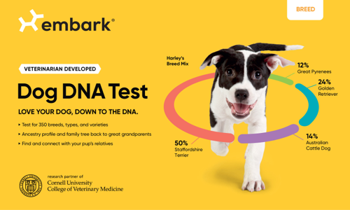 cornell university dog dna test