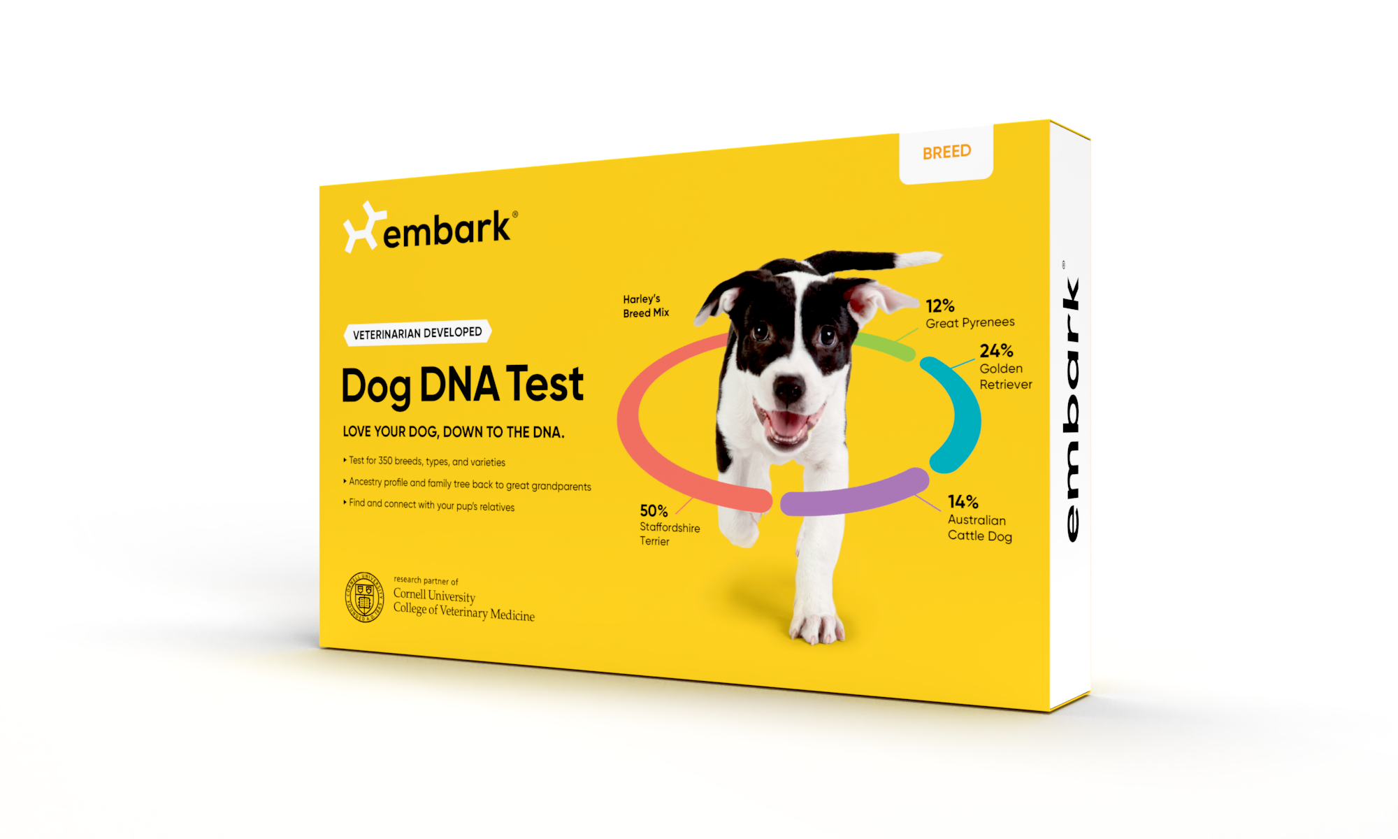 Groupon dog dna best sale