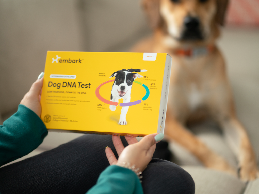 Go to "Embark vs Wisdom Panel Dog DNA Tests" article